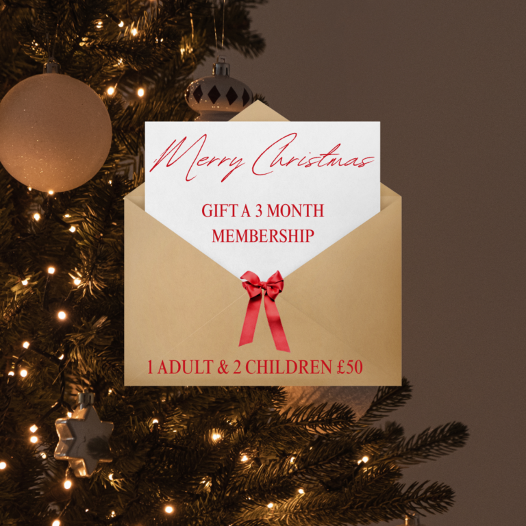 1 ADULT & 2 CHILDREN £50